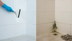 Mucegaiul din baie: 7 greșeli de curățenie care fac ca acesta să reapară mereu