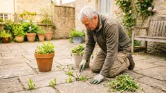 O metodă simplă de a curăța rosturile dintre plăci și de a opri definitiv creșterea buruienilor