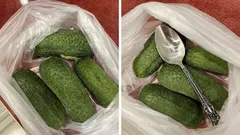 Castraveți crocanți până la 10 zile? Totul datorită unei linguri obișnuite