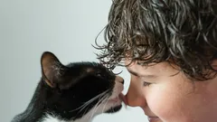 Obiceiurile pisicilor: de ce lingerea nu este doar o formă de afecțiune