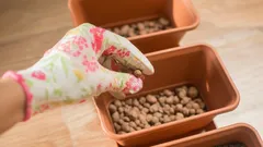 Ați folosit greșit vermiculitul ani de zile: iată la ce servește de fapt