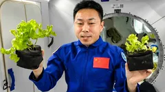 În spațiu s-a învățat cum să se producă aer respirabil: o descoperire revoluționară pentru Marte